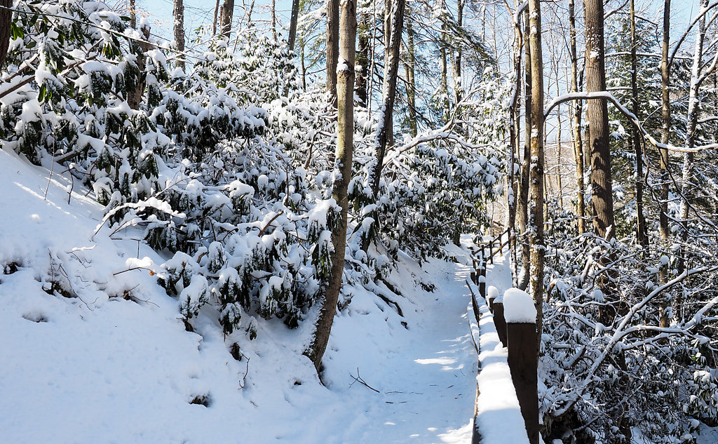 Cold Snap 5