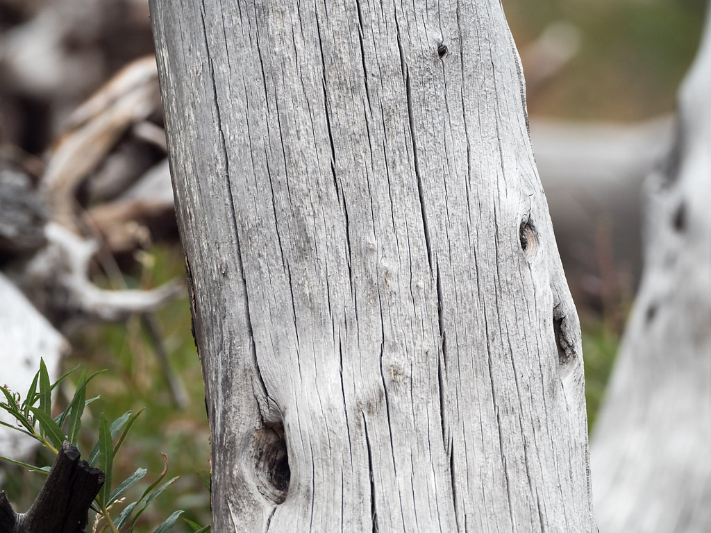 Time and Texture